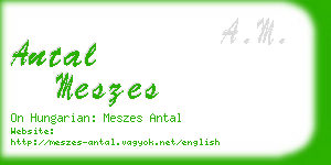 antal meszes business card